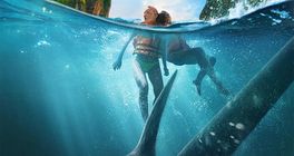 V survival thrilleru The Bay se svatba v Thajsku změní v hrůzostrašný boj se žraloky