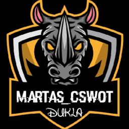 Martas-CSWOT