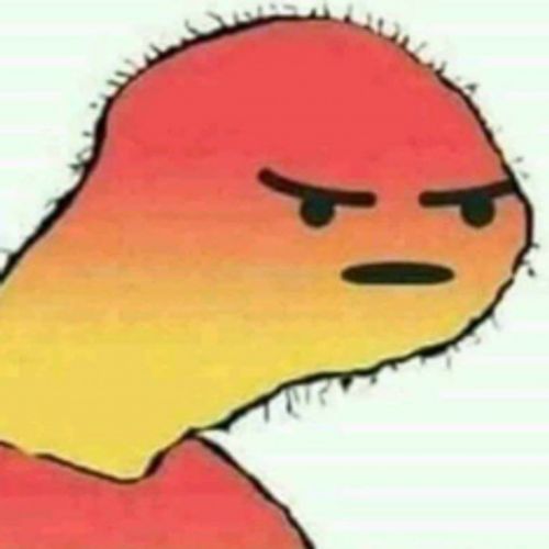 caulidi123