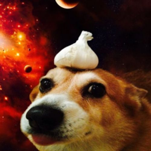 Dogo