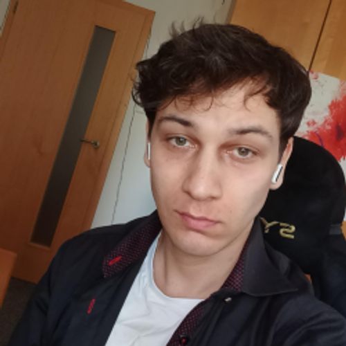 Pavatik