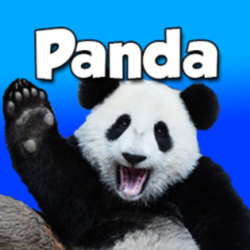 Panda656