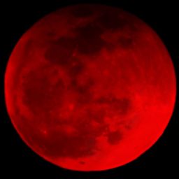 BloodMoon