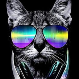 DiscoCat