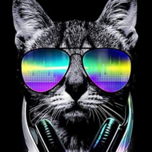 DiscoCat