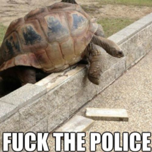 tank