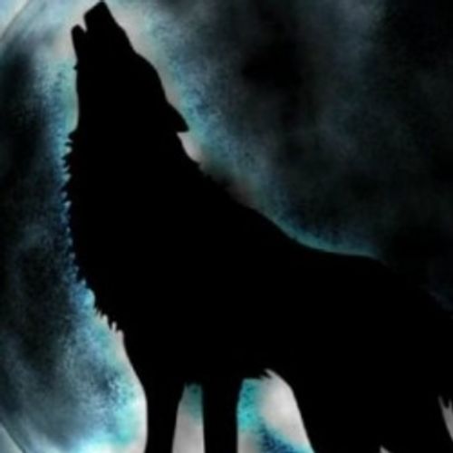 the-dark-wolf