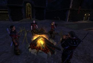 Gothic 1 (8)