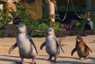 376057798-809232511202237-1742148700757190046-n-jpg-nc-cat-103-ccb-1-7-nc-sid-49d041-nc-ohc-thm6vqqjmcyax9yi6u3-nc-ht