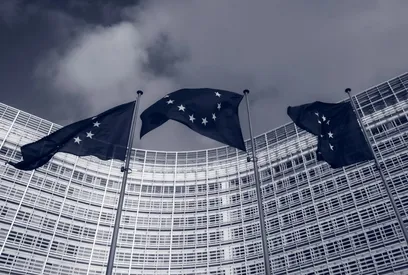 EUROPEAN UNION.jpg