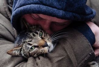 Nový dokument Cat Daddies se vás pokusí přesvědčit o tom, že na muži, který doma chová kočky, není nic divného