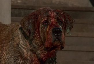 cujo30-1280x720.jpg