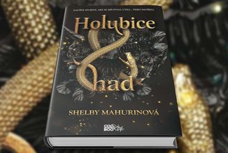 Fantasy podání čarodějnických procesů v románu Holubice a had