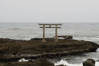 c9ca17a607e9aa850d8aaaf801a3e239f30b1831-jpg (0)
