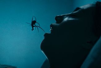 V hororu Crawlers se parta nešťastníků ocitne v pasti s jedovatými pavouky 