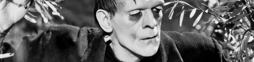 K filmovému Frankensteinovi od Guillerma del Tora se připojuje Christoph Waltz