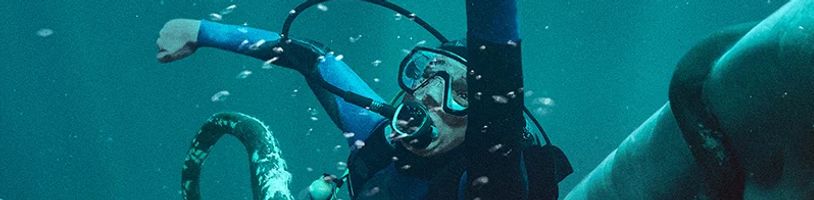 Thriller Whalefall, v němž hlavního hrdinu spolkne velryba, se pochlubil děsivou upoutávkou
