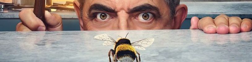 V seriálu Man vs. Bee svede Rowan Atkinson velkolepý a bláznivý souboj s malou včelkou