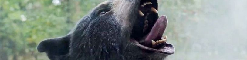 Klip na černou komedii Medvěd na koksu dokáže, že před zdrogovaným méďou vás nic nezachrání