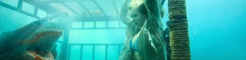 Režisér Šílené noci chystá žraločí survival thriller s hvězdou ze seriálu Bridgertonovi