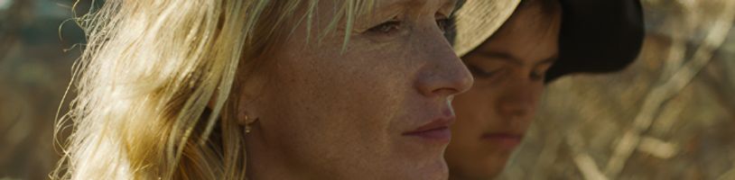 Český lev: Nejlepším filmem se stalo road movie Karavan s Aňou Geislerovou