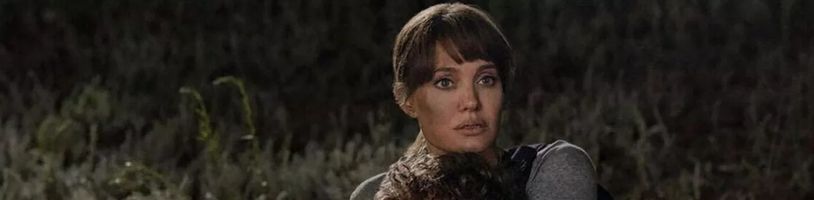 V thrilleru Sunny bude mafiánka Angelina Jolie chránit své syny před drogovým bossem