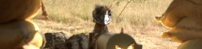 Trailer na bláznivou komedii The Emu War bude tou nejbizarnější věcí, kterou dnes uvidíte