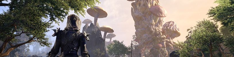 Chip Theory Games připravují deskovku ze světa Elder Scrolls 