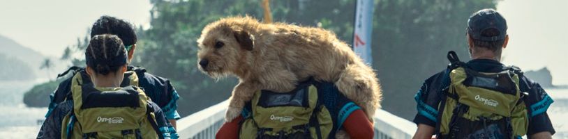 Arthur the King: Mark Wahlberg a jeho psí společník se vydávají na velkolepý závod