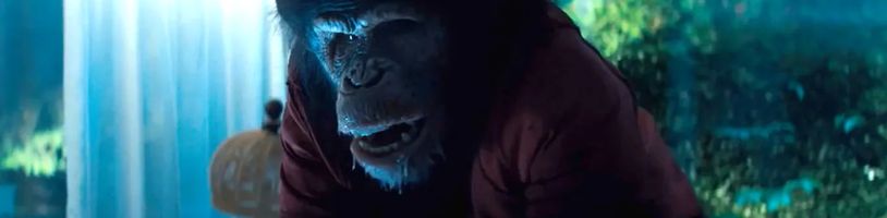 Ve chválené vyvražďovačce Primát půjde vysokoškolačkám po krku vzteklý šimpanz