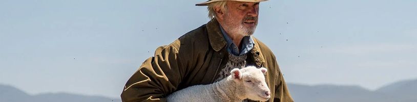 Sam Neill jako chovatel ceněné pokrevní linie ovcí v komediálním dramatu Rams