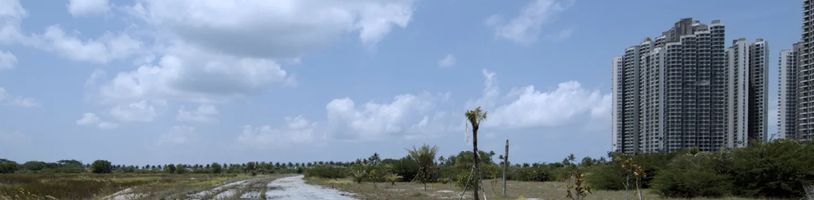 Dokumentární sci-fi Hungry zkoumá svět po vyhynutí lidstva očima tajemné bytosti