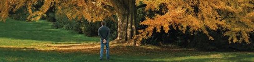 Chválené drama Silent Friend se zaměří na tři příběhy, které propojuje tajemný strom