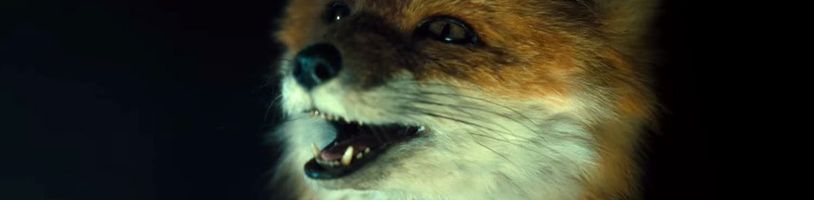 The Fox: Komediální sprosťárna s mluvícími zvířaty se představuje v prvním teaseru