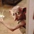 Seriálový Harry Potter obsadil novou Ginny, Dobbyho a mladého Voldemorta