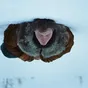 A Long Winter: Zmizení matky během sněhové bouře odstartuje zoufalé pátrání