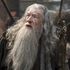 Podle Iana McKellena by se ve filmu o Glumovi měli objevit Gandalf s Frodem