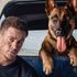 Bývalý voják a jeho psí společník se vydávají na komickou cestu, aby stihli pohřeb