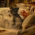 Filmový Resident Evil překonal očekávání a slaví rekordní start v kinech