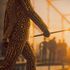 Hitman 3 se dočká sedmi smrtelných hříchů v placených DLC