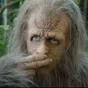 Bigfoot se bude krutě mstít, film Wildman má připomínat Johna Wicka s legendárním chlupáčem