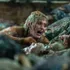 Devil’s Mouth: Kathryn Newton uvízne v podvodních jeskyních s hladovým žralokem