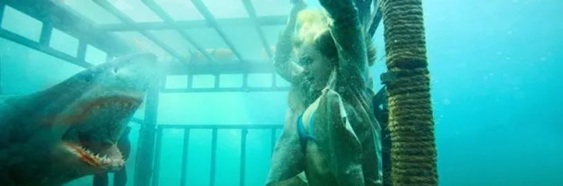 Režisér Šílené noci chystá žraločí survival thriller s hvězdou ze seriálu Bridgertonovi