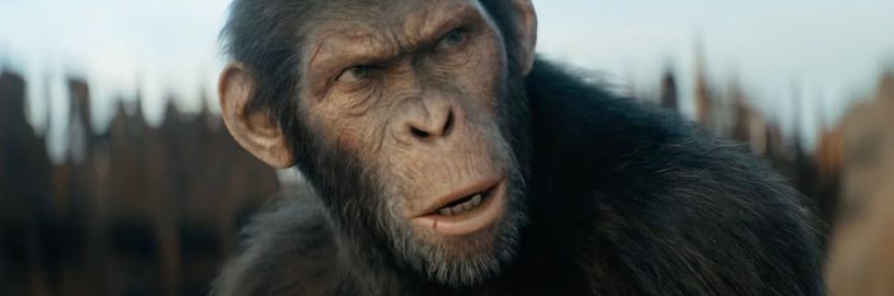 Opice, spolu, silné! Království Planeta opic ovládla kinosály