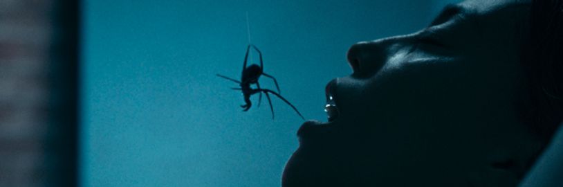 V hororu Crawlers se parta nešťastníků ocitne v pasti s jedovatými pavouky 